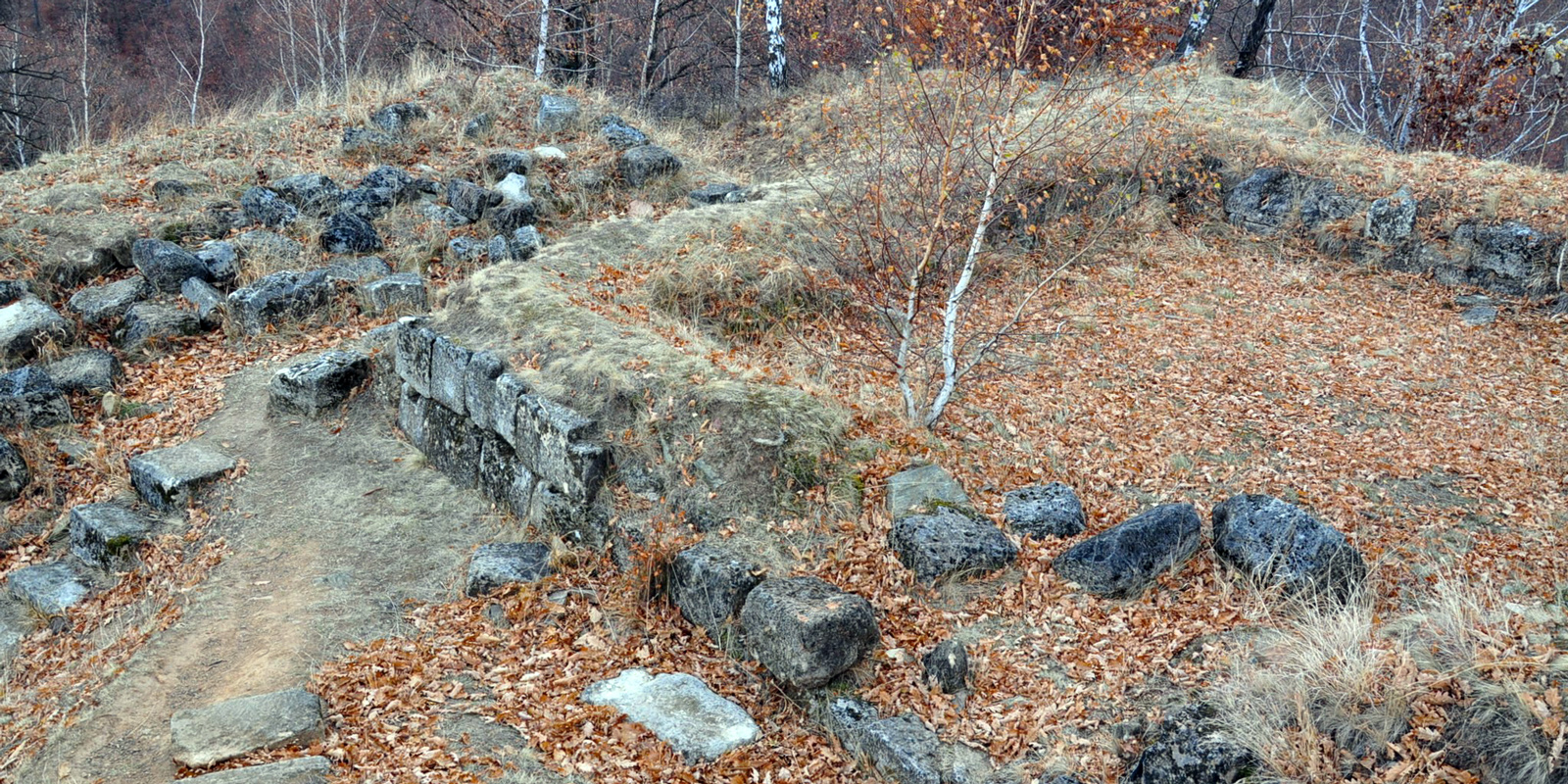 Murus dacicus 0023
