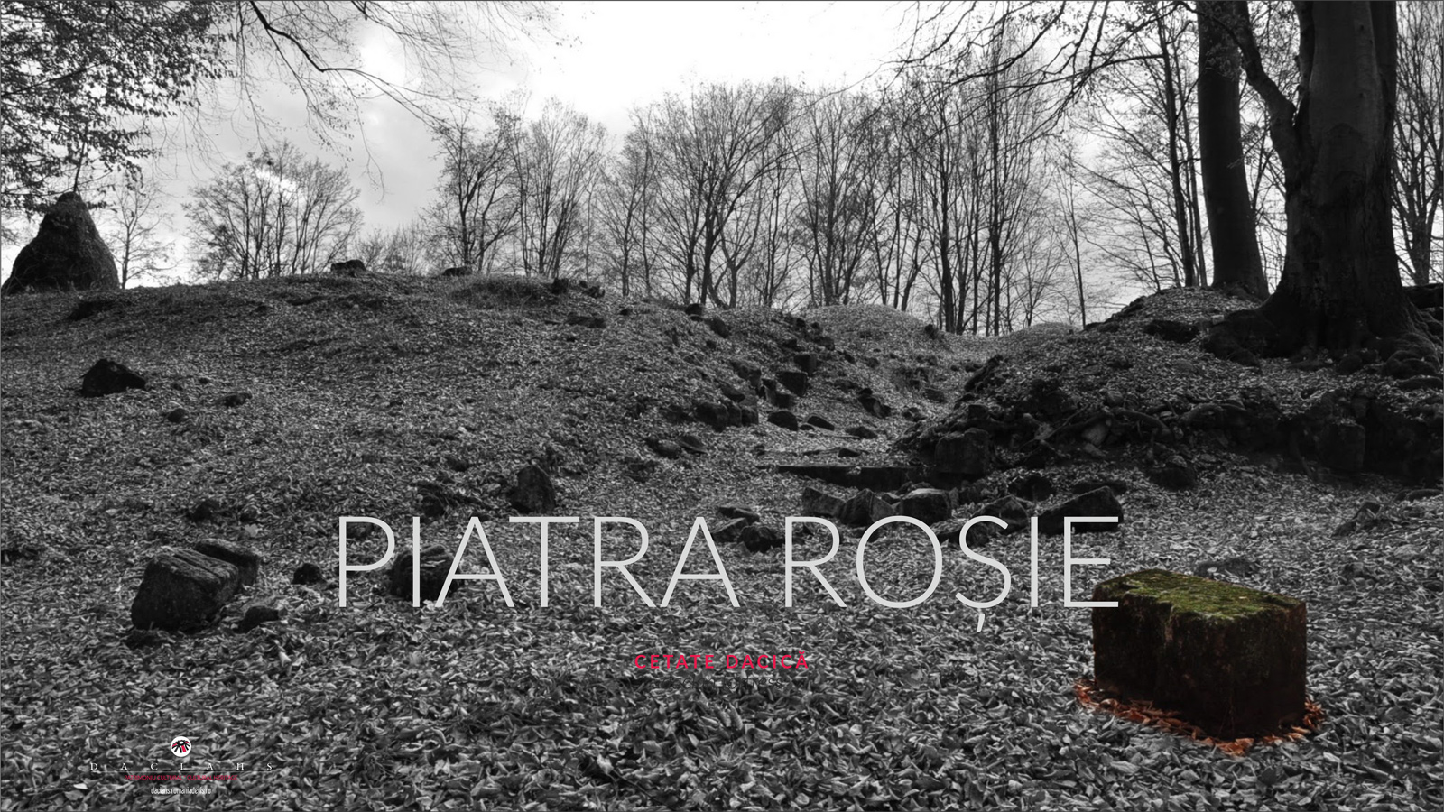 Cover piatra rosie
