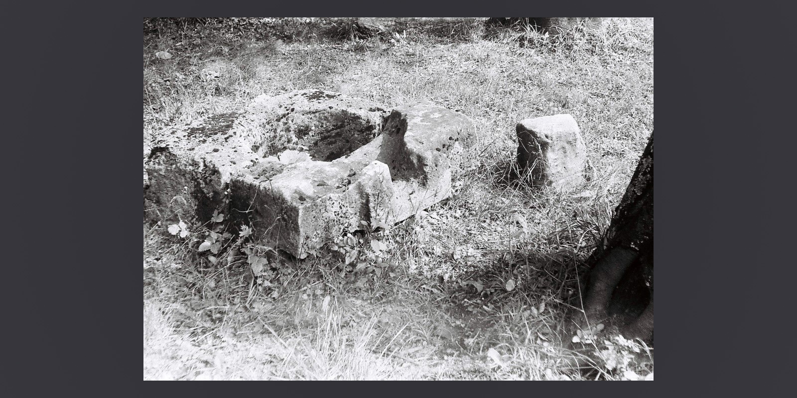 Soarele de andezit 1982b